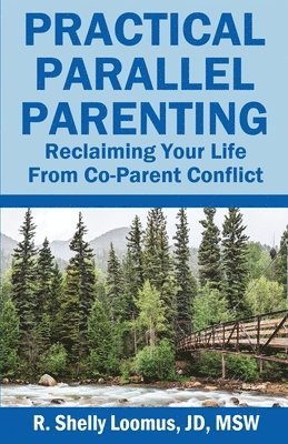 bokomslag Practical Parallel Parenting