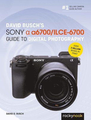 bokomslag David Busch's Sony Alpha a6700/ILCE-6700 Guide to Digital Photography