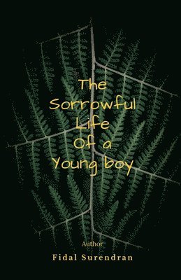 The Sorrowful Life Of A Young Boy 1