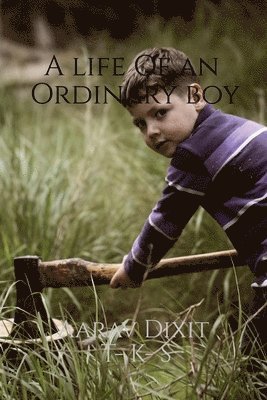 A life Of an Ordinary boy 1