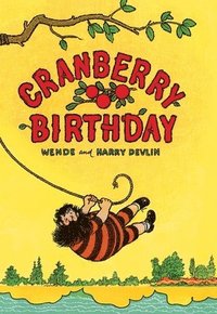 bokomslag Cranberry Birthday
