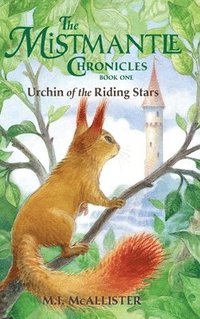 bokomslag Urchin of the Riding Stars