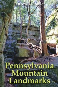 bokomslag Pennsylvania Mountain Landmarks Volume 3