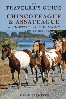 bokomslag The Traveler's Guide to Chincoteague and Assateague