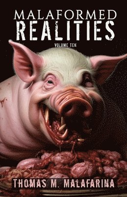 bokomslag Malaformed Realities Volume 10
