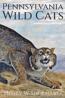 bokomslag Pennsylvania Wild Cats