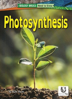 bokomslag Photosynthesis