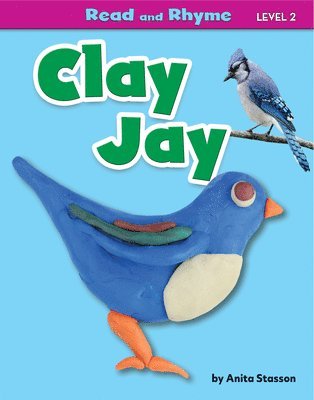 bokomslag Clay Jay