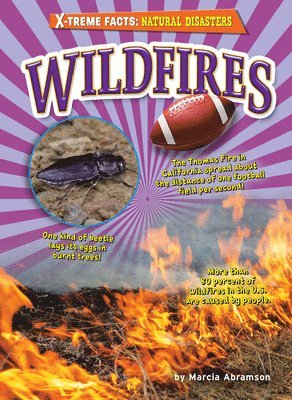 Marcia Abramson - Wildfires, Häftad