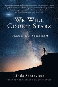 bokomslag We Will Count Stars