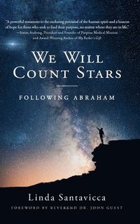 bokomslag We Will Count Stars