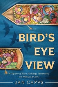 bokomslag Bird's Eye View