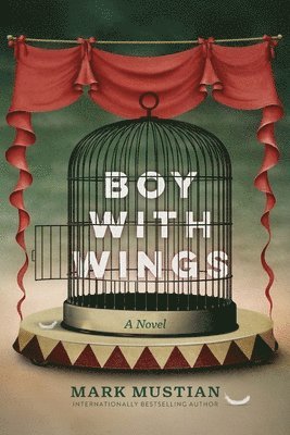 Boy With Wings 1