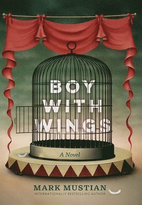 Boy With Wings 1