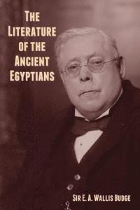 bokomslag The Literature of the Ancient Egyptians