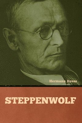 Hermann Hesse - Steppenwolf, Häftad