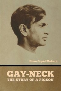 bokomslag Gay-Neck