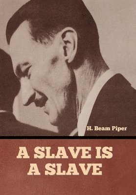 bokomslag Slave is a Slave