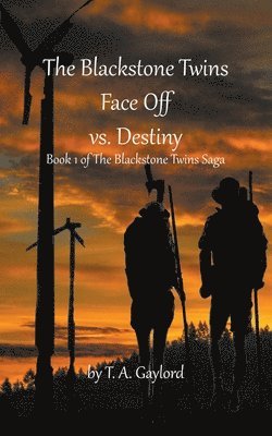 bokomslag The Blackstone Twins Face Off vs. Destiny