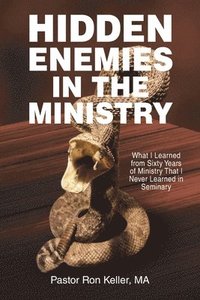 bokomslag Hidden Enemies in the Ministry