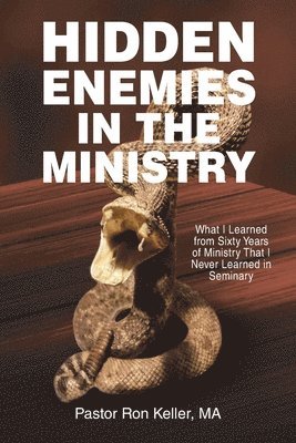 Hidden Enemies in the Ministry 1