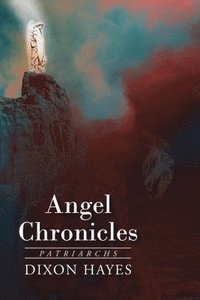 bokomslag Angel Chronicles