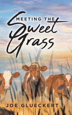 Meeting the Sweet Grass 1