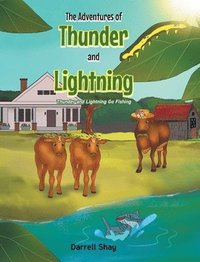 bokomslag Adventures of Thunder and Lightning