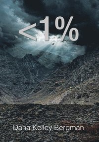 bokomslag Less Than 1 Percent