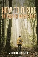 bokomslag How to Thrive in Youth Ministry