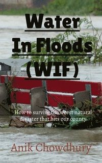 bokomslag Clean water in floods (WIF)