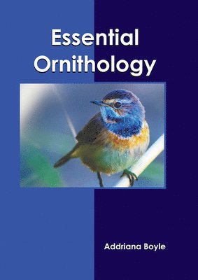 bokomslag Essential Ornithology