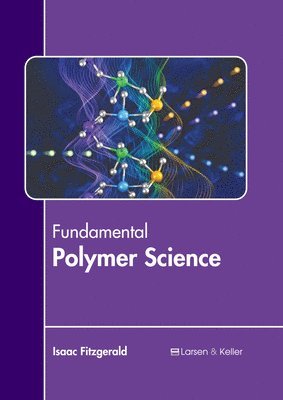 bokomslag Fundamental Polymer Science