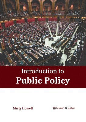 bokomslag Introduction to Public Policy