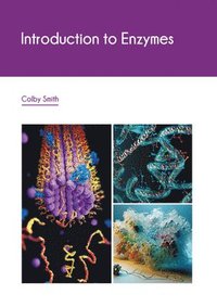 bokomslag Introduction to Enzymes