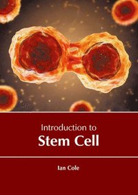 bokomslag Introduction to Stem Cell