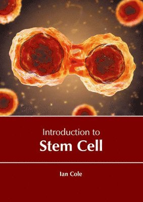 Ian Cole - Introduction to Stem Cell, Inbunden