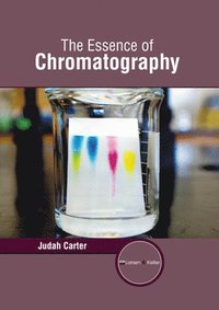 bokomslag The Essence of Chromatography