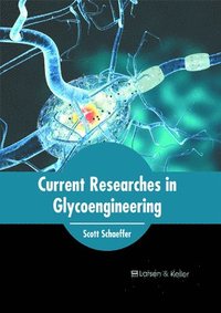 bokomslag Current Researches in Glycoengineering