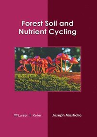 bokomslag Forest Soil and Nutrient Cycling