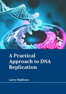 Larry Madison - A Practical Approach to DNA Replication, Inbunden
