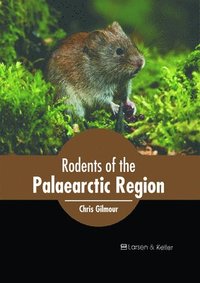 bokomslag Rodents of the Palaearctic Region