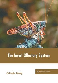bokomslag The Insect Olfactory System