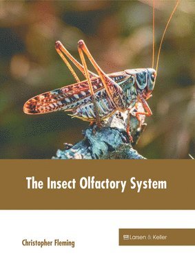 Christopher Fleming - The Insect Olfactory System, Inbunden
