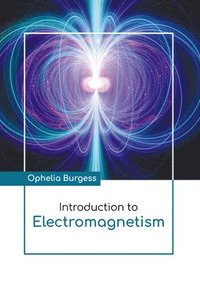 bokomslag Introduction to Electromagnetism
