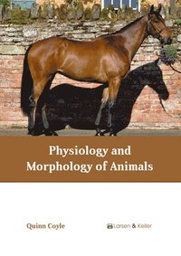 bokomslag Physiology and Morphology of Animals