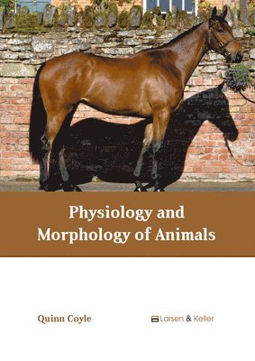bokomslag Physiology and Morphology of Animals