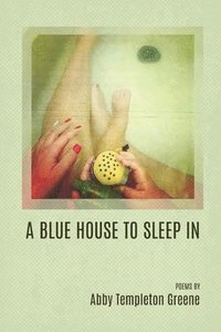 bokomslag Blue House to Sleep In