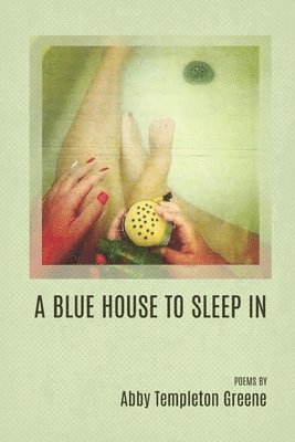 bokomslag Blue House to Sleep In