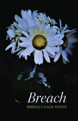 Breach 1